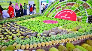ফলে পুষ্টি অর্থ বেশ-স্মার্ট কৃষির বাংলাদেশ-জাতীয় ফল মেলা
