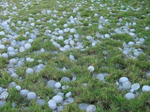 সিলেটজুড়ে কালবৈশাখির তাণ্ডব